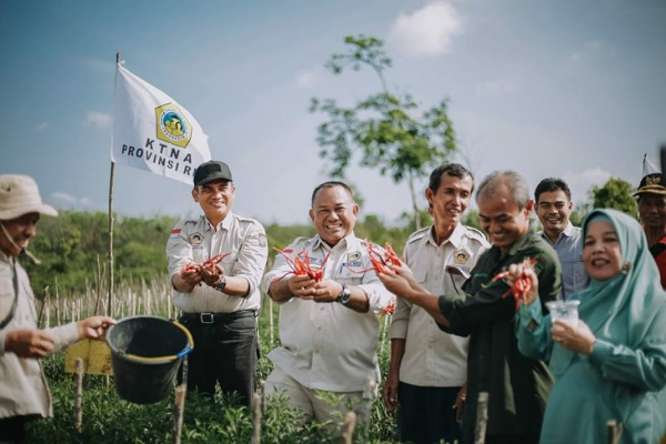 Panen Perdana Cabe Merah, Ketua KTNA Kampar Ajak Milenial untuk Bertani