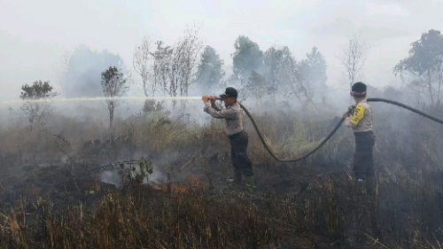 Lahan Kelompok Tani PT SSS Pangkalan Terap Terbakar, Upaya Pemadaman Masih Berlangsung