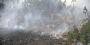 GoRiau Akibat Kabut Asap, Bupati Agam Minta Warganya Kurangi Aktivitas Luar Rumah