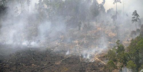 Akibat Kabut Asap, Bupati Agam Minta Warganya Kurangi Aktivitas Luar Rumah