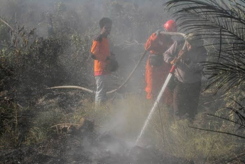 Setiap Tahun Terbakar, Polres Pelalawan Rekomendasikan Cabut Izin Konsesi PT TUM di Kuala Kampar