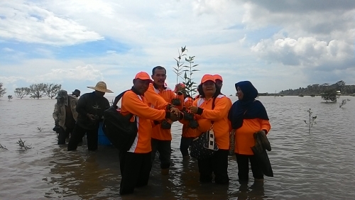 Selamatkan Wilayah Pesisir dari Ancaman Abrasi, Ini Upaya yang Dilakukan DKP Riau dan Bengkalis