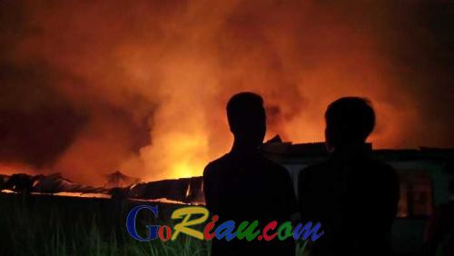 Tumpukan Kayu Barang Bukti dan Beberapa Kendaraan Lakalantas di Halaman Mapolres Siak Terbakar