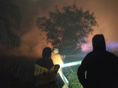 Tak Ada Jalan, Petugas Kesulitan Padamkan Kebakaran Lahan di Desa Batang Nilo Kecil