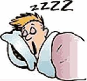 5 Manfaat Tidur Siang Bagi Kesehatan