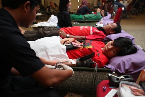 RAPP Gelar Donor Darah ke-44, 52 Karyawan Terima Penghargaan PMI Riau