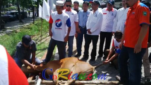 Partai Perindo Riau Potong 2 Ekor Sapi untuk Masyarakat Kota Pekanbaru