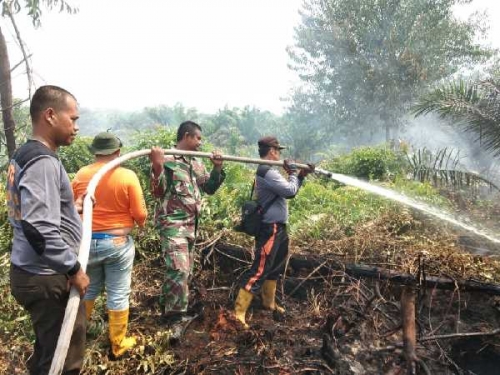 Kebakaran Hutan dan Lahan Terjadi di Dua Lokasi Kabupaten Pelalawan