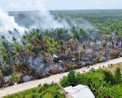 Kabut Asap Pekat Selimuti Jalan Lintas, Kebakaran Hebat Landa Perkebunan Kelapa di Inhil