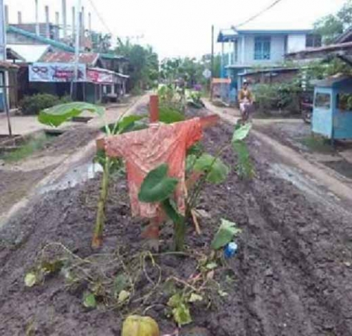 Sulit Dipercaya, Warga Tembilahan Berkebun di Tempat Seperti Ini