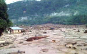 GoRiau 29 Siswa Madrasah di Mandailing Natal Disapu Banjir Bandang Saat Belajar, 8 Tewas dan 21 Hilang