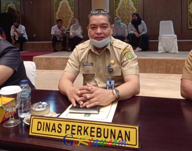 Alhamdulillah, Harga TBS Sawit di Riau Naik Jadi Rp1.995,68 per Kg