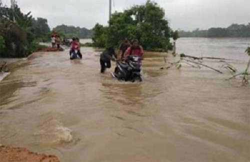 65 Hektar Lahan Sawah di Indragiri Hulu Gagal Panen karena Banjir