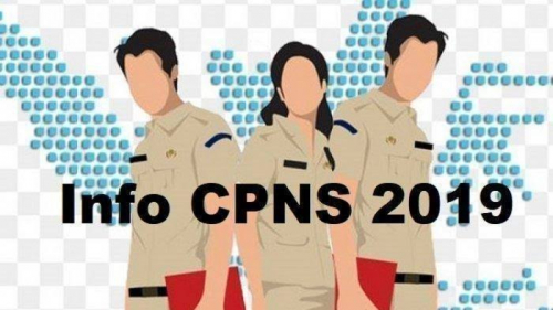 Pengumuman CPNS Pemprov Riau, Formasinya 170 Guru, 22 Tenaga Kesehatan, dan 79 Teknis, Pendaftaran Mulai 16 November 2019