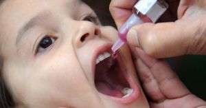 GoRiau Vaksin Polio dan Meningitis Kandung Enzim Babi, MUI Desak Farmakologi Carikan Pengganti