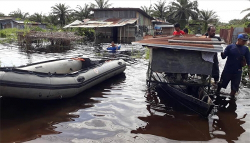 Hewan Ternak Warga Turut Jadi Korban Banjir di KM 8 Jalan Koridor PT RAPP
