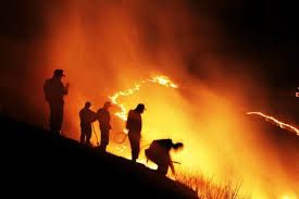 Inilah Pengakuan Tersangka Pembakar Lahan, Ternyata untuk Perkebunan Sawit