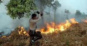 GoRiau Makin Meluas, Dumai Siaga I Kabut Asap