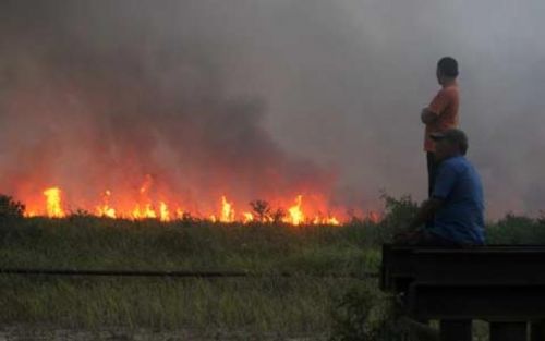 Sabar, Titik Api di Sumatera Sudah Berkurang Mulai 15 Februari 2014