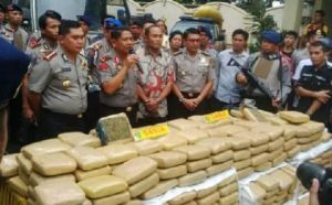 GoRiau Bawa Ganja 2 Ton, Sopir Truk Dibayar Rp 20 Juta Tapi Tertangkap di Pelalawan