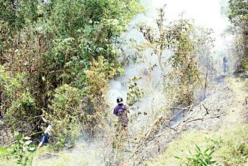 Satu Titik Api Nongol di Kuala Kampar, Upaya Pemadaman Dilakukan