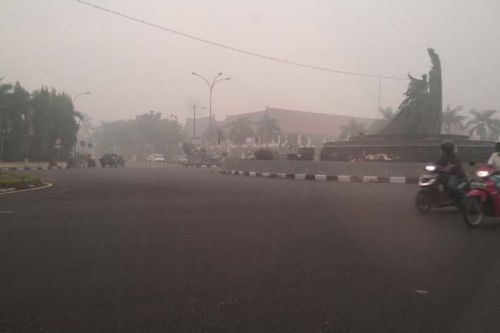Asap Bisa Timbulkan Penyakit, Riau Dinyatakan Sudah Tak Layak Huni