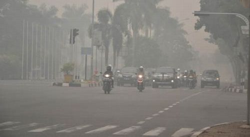 Pemerintah Didesak Bentuk Tim Penyelidik Kebakaran Hutan Riau