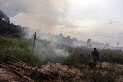 Lagi, 5 Titik Panas Terdeteksi di Riau
