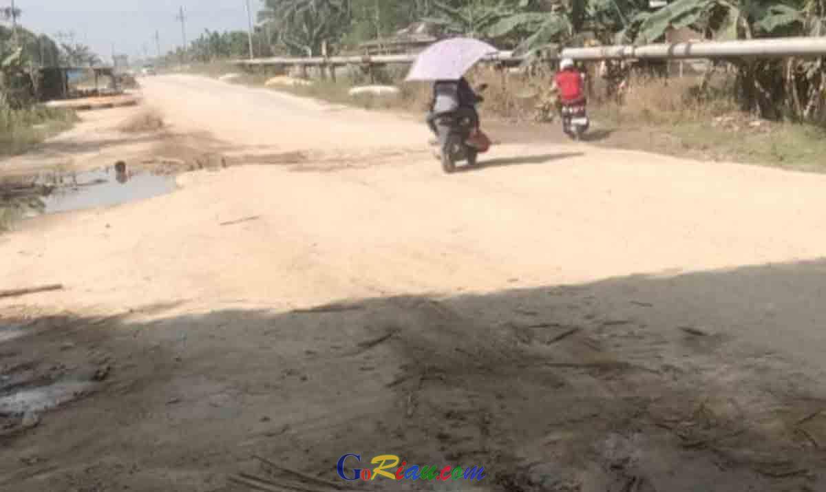 Tidak Hanya Jalan Lintas Sinaboi - Bagansiapiapi yang Rusak, Lintas Rohul - Rohil Juga Senasib