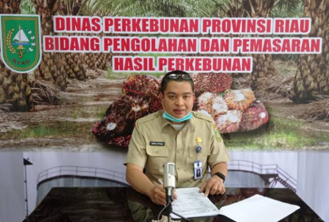 Perlahan Naik, Harga TBS Kelapa Sawit yang Ditetapkan Pemerintah di Riau Rp2.726,70 per Kg