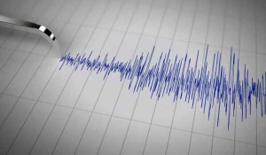 GoRiau Diguncang Gempa M 7,2, Pengunjung Pasar Habibi Berhamburan Pulang dan Mengungsi