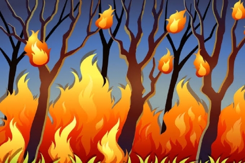 BREAKING NEWS: Hutan Lindung Bukit Betabuh Terbakar