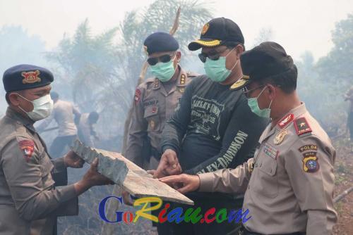 Resmi Jadi Tersangka, Begini Modus 2 Perusahaan di Riau dalam Membakar Lahan