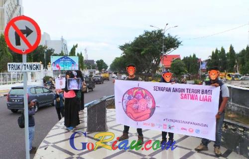 Tragis! 23 Orangutan Diburu dan Ditembak Mati dalam 12 Tahun Terakhir, Begini Kondisinya..