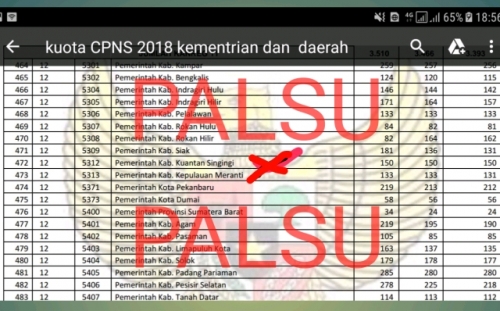 Beredar e-Formasi CPNS 2018 untuk Kuansing 150 Orang, Ternyata...