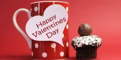 GoRiau Unik... Pemuda Ini Rekrut Para Jomblo untuk Rusak Hari Valentine