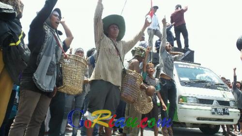 Tuntut Tanahnya yang Dikuasai Perusahaan Dikembalikan, Masyarakat Suku Sakai Jalan Kaki dari Kandis ke Pekanbaru