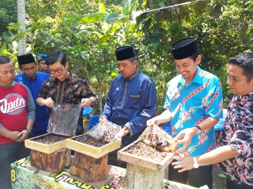 Budidaya Madu Kelulut di Siak Masuk Paket Wisata Musim Durian