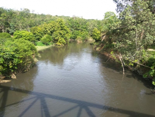 DLH Kuansing Sudah Kirim Sampel Air Sungai Tesso yang Diduga Tercemar Limbah PT CRS