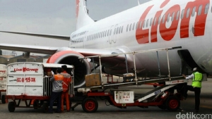 GoRiau Penumpang dari Singapura Tak Lewati Imigrasi, 3 Petugas Lion Air Diperiksa