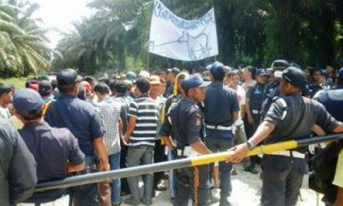Gaji Dipotong Perusahaan, Ratusan Buruh PT SIR di Siak Mogok Kerja