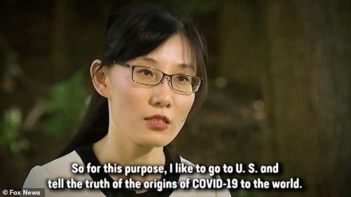 Dr Li Meng Yan Pilih Kabur dari China untuk Ungkap Fakta Virus Corona yang Disembunyikan