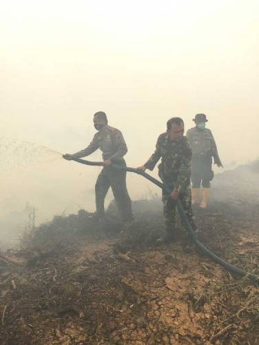 Polda Riau Tetapkan 41 Orang Sebagai Tersangka Pembakar Lahan, 4 Perusahaan dalam Proses Penyelidikan