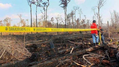 Laporan Pansus Monitoring Lahan DPRD Riau Terganjal, Ada Oknum Diduga Bermain