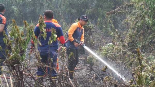 Kebakaran Dua Hektare Lahan di Jalan Gulama Pekanbaru Nyaris Hanguskan Rumah