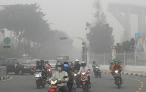 GoRiau Kualitas Udara Pekanbaru Terburuk di Riau