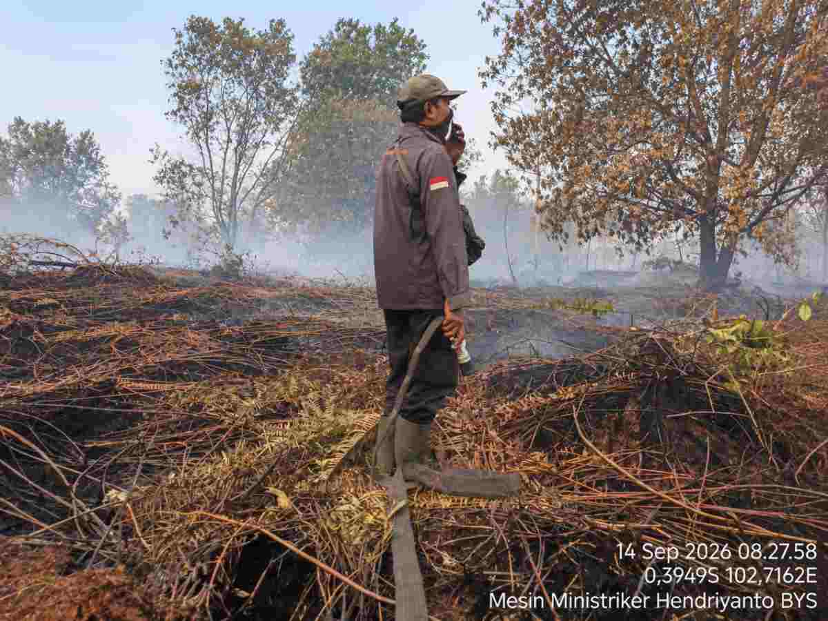 Kolaborasi APHI dan PBPH Riau, Gotong Royong Efektif Padamkan Karhutla di Tingkat Tapak