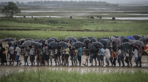 Memilukan, Seorang Wanita dan 3 Bocah Rohingya Tewas Diinjak Gajah Liar di Pengungsian
