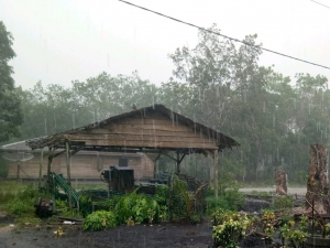 Hotspot Sore Ini Meningkat di Pulau Sumatera Dibandingkan Pagi, Teknologi Modifikasi Cuaca Diperluas Hingga Jambi