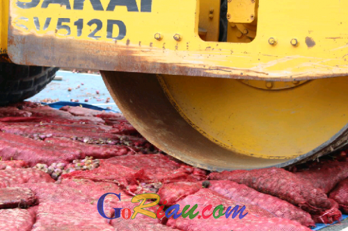 Digiling Bomag, 5 Ton Bawang Merah Selundupan Dimusnahkan Polres Pelalawan